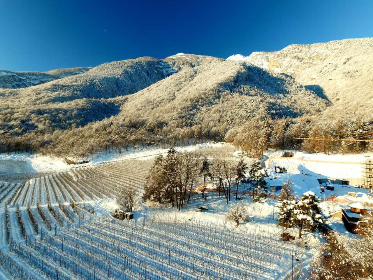 Brenta Luxury Chalet Sporminore 外观 照片